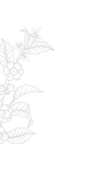 pattern3