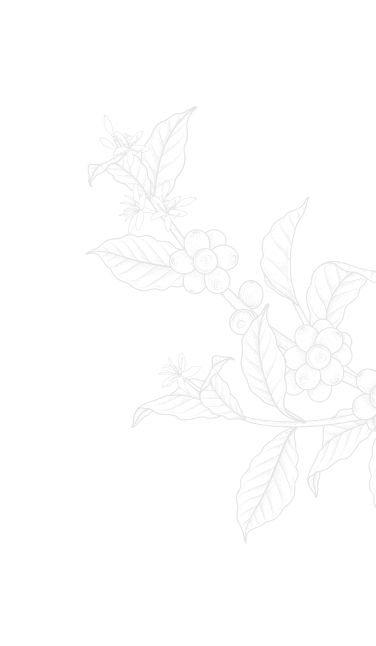 pattern3